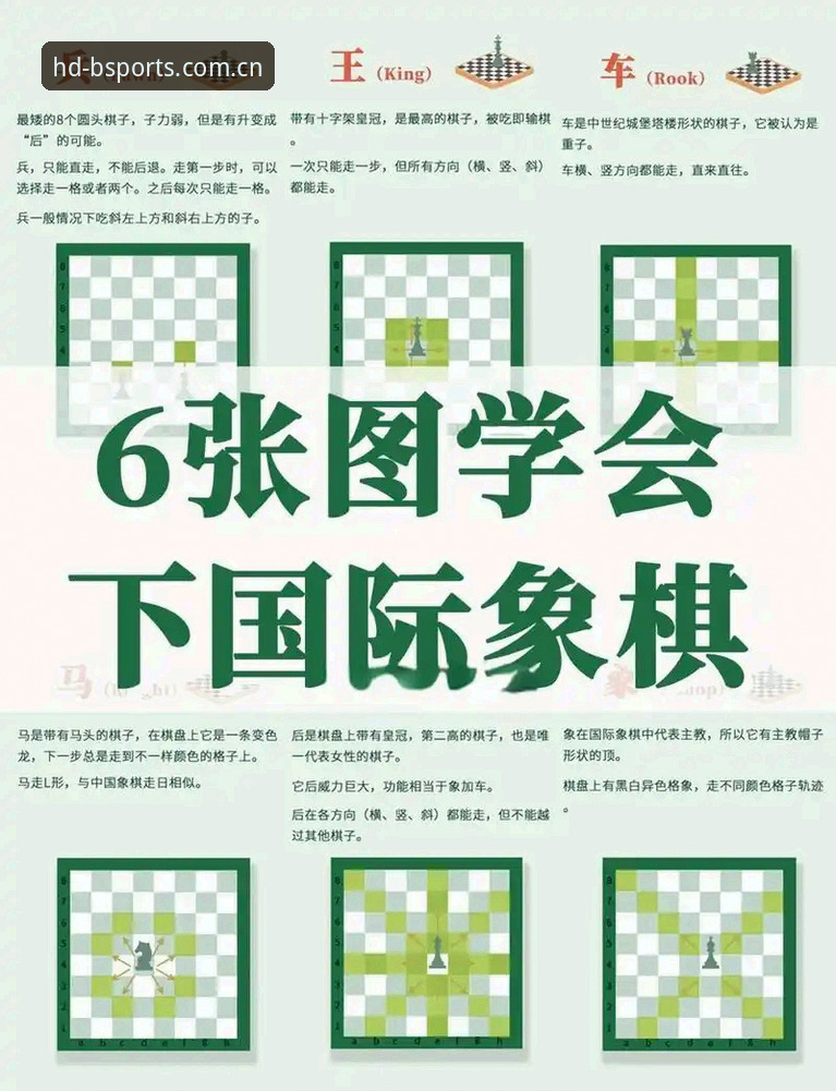B体育高清赛事官网使用教程：从新手到高阶竞猜玩家的进阶指南